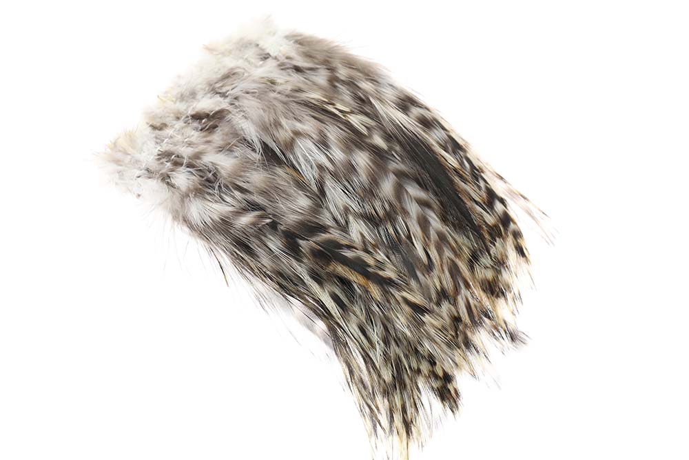 Grizzly Hane Hackler Natur fra Veniard
