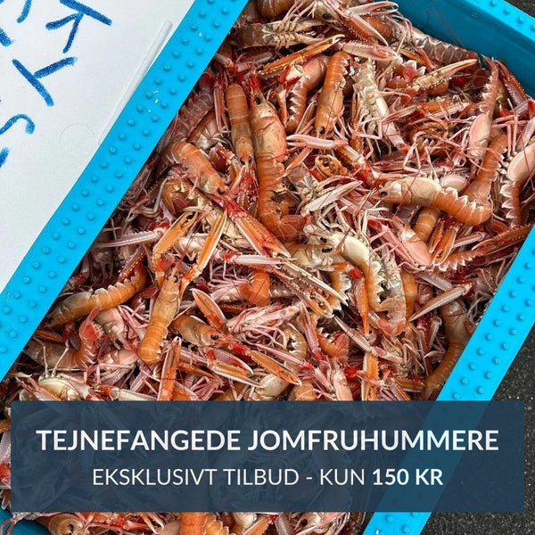 Eksklusivt Tilbud: Jomfruhummere fra Exclusive