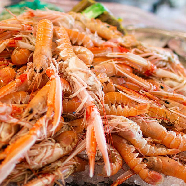 Eksklusivt Tilbud: Petit Jomfruhummere 1000 G. fra Exclusive