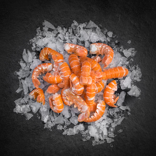 Danske Jomfruhummerhaler fra Kystfisken