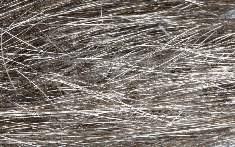 Angel Hair   Lt Brown fra Hagens