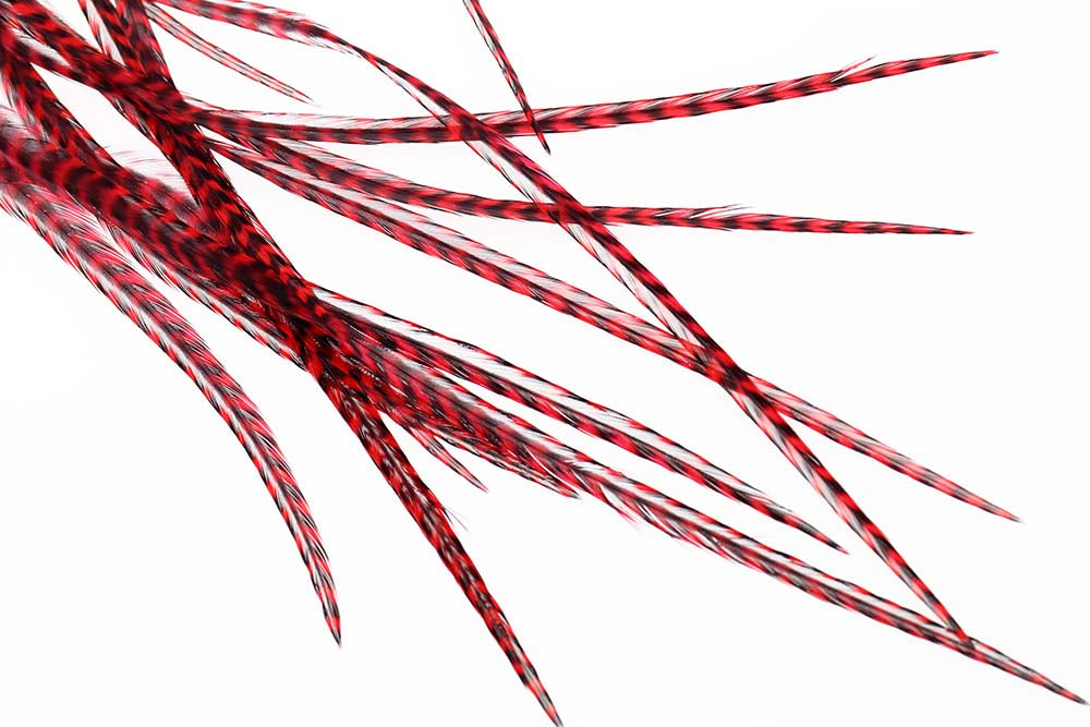 10+ Selected Flatwing Dryfly Feather   Grizzly Red fra Non Brand