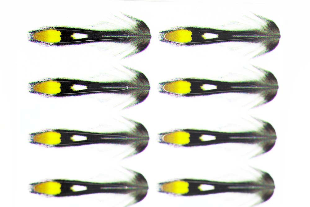 Junglecock Sub. Gul fra The Fly Co.