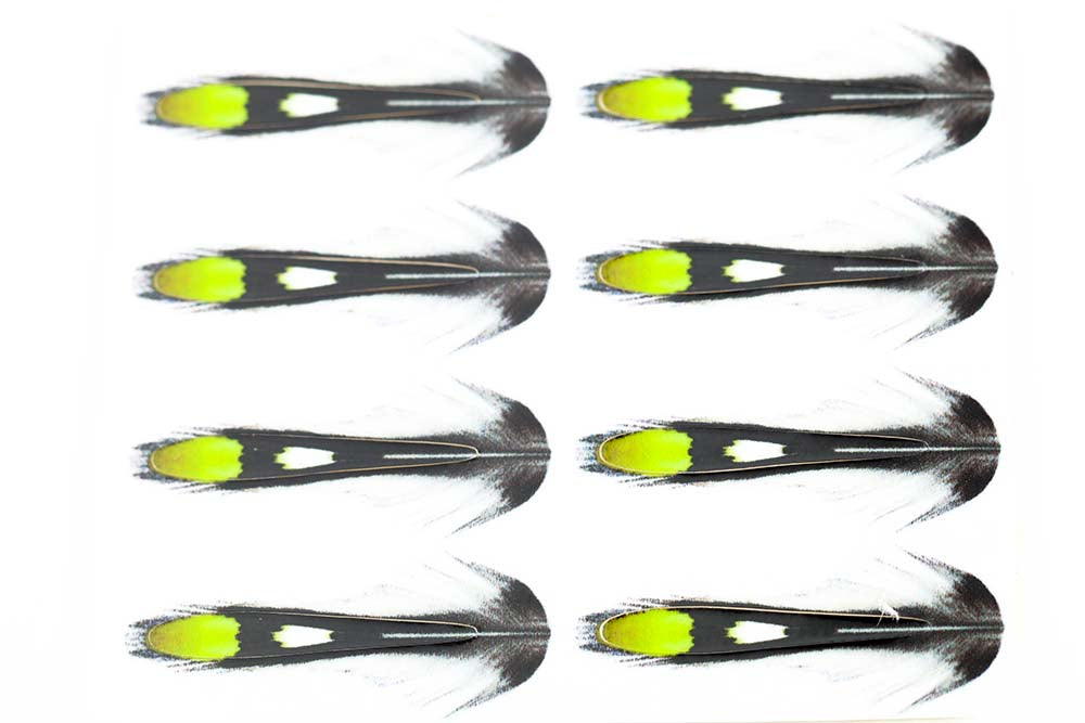 Junglecock Sub.   Chartreuse fra The Fly Co.